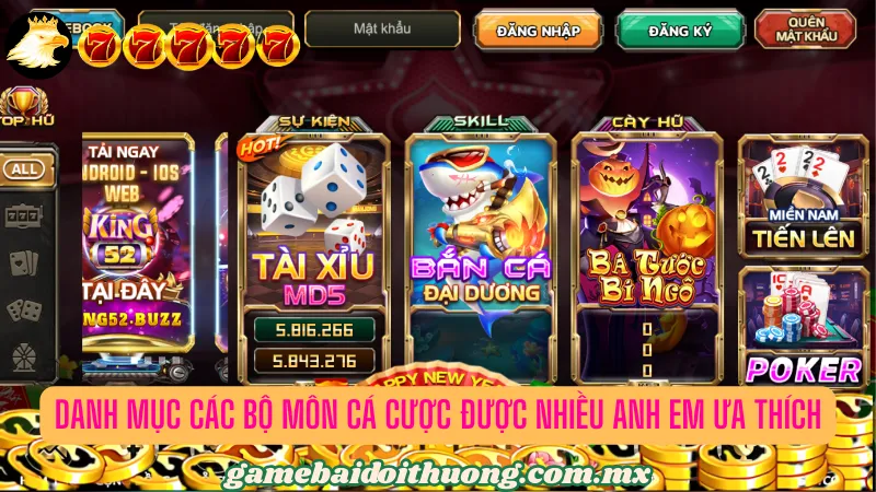 Những loại hình cá cược đông đảo mà hội viên ưa thích